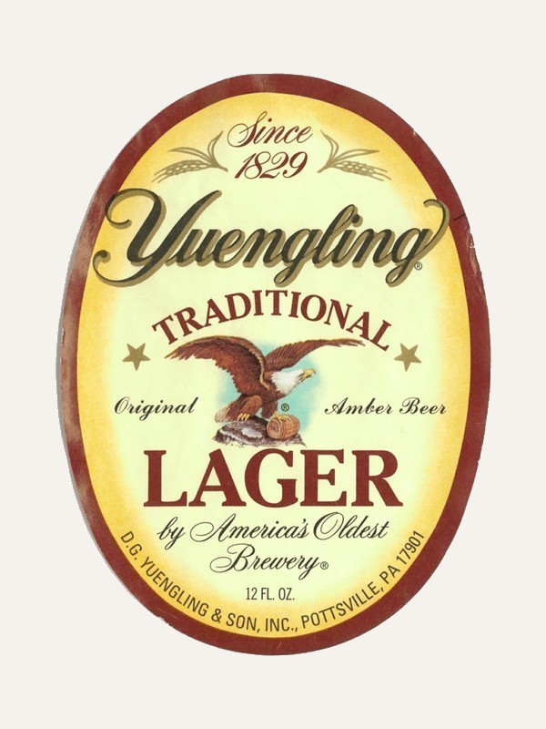 Yuengling 6 Pack Traditinol Lager